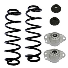 2 Federn Domlager Gummis Serie